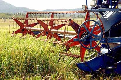 Combine Harvester’s Orienting Reel - Source: www.knowledgebank.irri.org